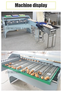 핫 세일 닭 가금류 계란 선별기 가금류 장비 자동 중량 계란 분류 기계 - Product Image 5