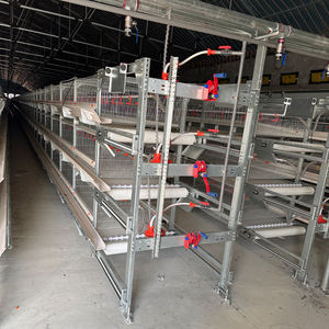 Gabbia Automatizzata per Polli da Carne con Batteria da 5 a 6 Settimane, Nuova Condizione, Allevamento per Conigli e Uccelli per Fattorie in Kenya - Product Image 2