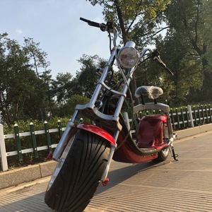 Motocicleta Eléctrica Tipo Straddle de 2 Ruedas, 60V 20AH 2000W, Envío desde Almacén Europeo - Product Image 1