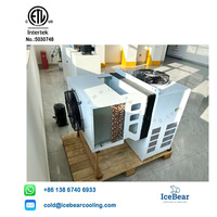 Unité de condensation et d'évaporation monobloc tout-en-un à montage latéral IceBear pour la réfrigération commerciale Embraco Tecumseh