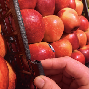 Panier de fruits de supermarché pare-chocs salle blanche et utilisation en laboratoire faible odeur finition lisse non marquante bande d'étanchéité en forme de U - Product Image 4