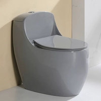 Ensemble WC coloré gris pour salle de bain, cuvette de toilette sanitaire à poser au sol