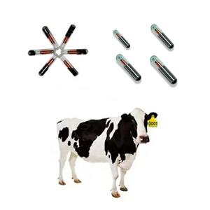 Fdx-b Rfid Animal Identification Implant Verre Tag 2.12x12 1.4x8 1.25x7mm Rfid Capsule Tag Em4305 Microchip pour Animal - Product Image 4