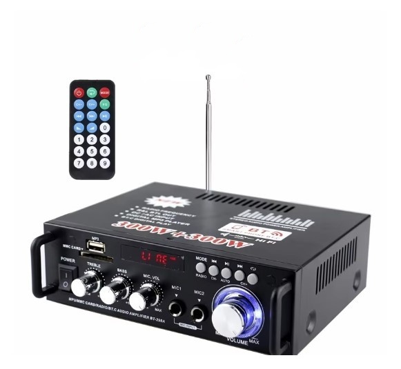 Power Amplifier 12V/220V Card U Disk Radio Power Amplification Speaker