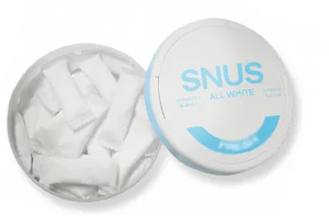 Machine à emballer humide de poudre de Snus Machine automatique d'emballage de bâton de poudre de Snus Machine d'emballage de sachets de poudre de nicotine à grande vitesse - Product Image 5