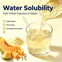 Poudre de melon Hami biologique en promotion pour la pâtisserie et les ingrédients de desserts