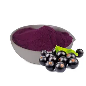 Açaí Berry Extract Rico em antocianina Alta qualidade Açaí Berry Extract Powder