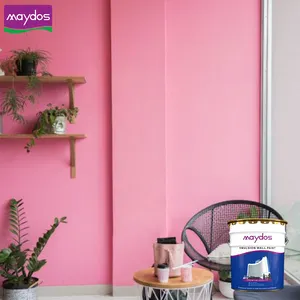 สีสเปรย์พ่นสีผนังภายในสำหรับบ้านในอาคารที่ดีที่สุด