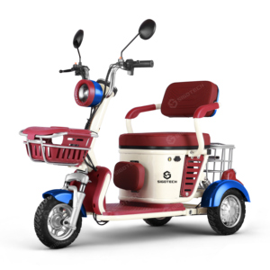SIGOTECH OEM Triciclo Elettrico a <span class=keywords><strong>Tre</strong></span> <span class=keywords><strong>Ruote</strong></span> con Batteria a Lunga Autonomia 60V Scooter Elettrico per Anziani - Product Image 4