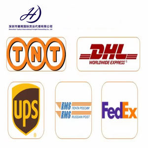 항공화물 운송업자 이중 면세 DHL UPS 페덱스 직송 선전 브라질 아르헨티나 칠레 파나마 인도네시아 대만 - Product Image 6