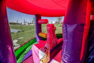 <span class=keywords><strong>Castillo</strong></span> <span class=keywords><strong>de</strong></span> princesa rosa <span class=keywords><strong>de</strong></span> grado comercial, <span class=keywords><strong>Castillo</strong></span> <span class=keywords><strong>de</strong></span> salto inflable con tobogán, casa <span class=keywords><strong>de</strong></span> rebote para niños para alquiler <span class=keywords><strong>de</strong></span> fiestas - Product Image 3