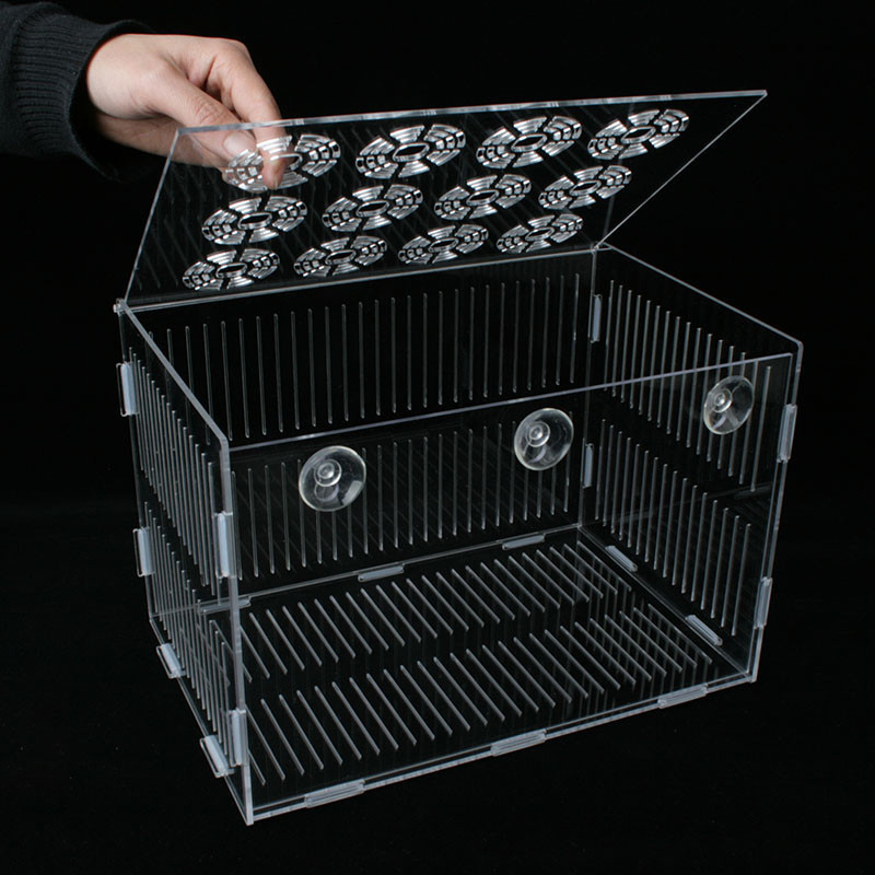 Custom Acrylic Foldable Fish Tank Isolation Box - Fry Breeding Custom Acrylic Foldable Fish Tank Isolation Box - Fry Breeding