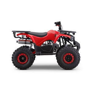 Nuevo Estilo de Motocicleta ATV de Cuatro Ruedas con Motor de Gasolina de 110cc 125cc de 4 Tiempos con Transmisión por Cadena y Certificación CE en Venta - Product Image 6