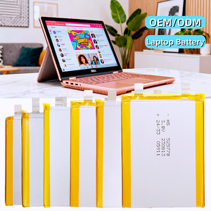Özel Tasarım Polimer Lityum Pil 10000mah 3.7V 3.8V 3.85V 7.4v Yüksek Hızlı Polimer Li-ion Pil HP Spectre için - Product Image 1
