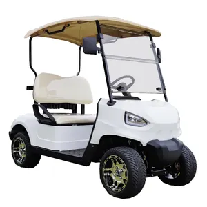 Yardımcı kulüp 4 tekerlek sürücü Buggy araba zarif tasarım zarif 2 kişilik elektrikli Golf arabası