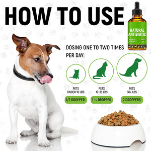 Doğal Organik Evcil Hayvan Antibiyotik Takviyesi Damlaları - OEM/ODM Mevcut, Tüm Irklar ve Yaş Kadroları için Özelleştirilebilir Formül - Product Image 4