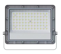 Projecteur LED étanche IP65 pour extérieur avec télécommande et capteur de détection