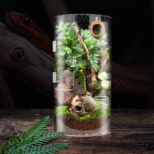 Örümcek Gecko için Premium şeffaf böcek besleme konteyner küçük sürüngen kafes teraryum besleme kutusu - Product Image 2