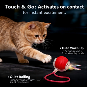 Vente directe usine : Jouets pour animaux de compagnie – Balle interactive intelligente à queue plumeuse pour chien, jouet électrique rapide pour chat - Product Image 5