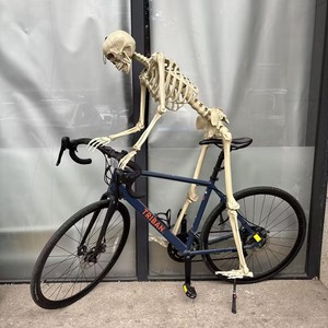 Nuevo Esqueleto Humano Gigante Realista de 152 cm (60 Pulgadas/10 pies) para Decoración de Jardín, Ideal para Accesorios de Halloween al Aire Libre, 2026 - Product Image 5
