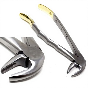 Pinzas Dentales de Extracción Dentadas MD3 para Incisivos Inferiores, Caninos, Bicánidos y Raíces, Calidad Premium, Mango Dorado - Product Image 1