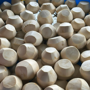 สดจากต้นปาล์มส่งออกมะพร้าวอ่อนจากเวียดนาม - Product Image 1