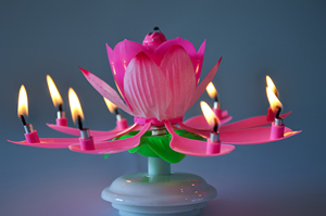 Lotus gâteau d'<span class=keywords><strong>anniversaire</strong></span> musique bougie décoration créative va tourner lumière chantant <span class=keywords><strong>anniversaire</strong></span> <span class=keywords><strong>chanson</strong></span> musique bougie - Product Image 2