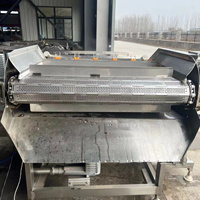 Commerciële industriële fruit- en groentewasmachine, wasapparatuur voor saladeverwerking