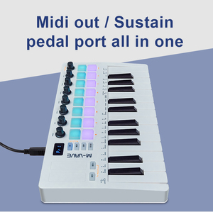 Controlador de teclado <span class=keywords><strong>MIDI</strong></span>, teclado arreglista portátil, RGB, Strike Pad, teclado, 1, 2, 2 - Product Image 4