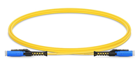 10G 100G OM3 8 ~ 24 Core Trunk Cable MTP Optique MPO MDC Fiber Optique Patch Cord