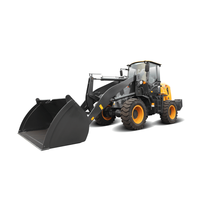 Offre Spéciale Mini-chargeuse-pelleteuse Changjiang Diesel, Capacité de godet 1,2 m, Système entièrement hydraulique, Moteur, Roulement, Boîte de vitesses, Pompe