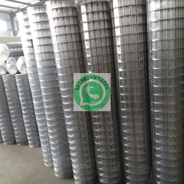 1.9mm Hot Dip Galvanized Steel Welded Wire Mesh PVC Coated 2''x3'' Farm Fence Bending Cutting 25m Length 1.0m-2.0m Height
