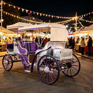 Elegant Victorian Sightseeing <b>Passenger</b> Carriage Polished Surface Finish for Tourist Site Theme Event Wholesale Order - Product Image 1