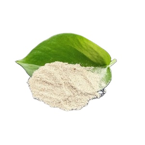 <strong>Septic</strong> <strong>Tank</strong> Treatment Bio Enzyme Decomposing Bacteria <strong>Septic</strong> <strong>Tank</strong> <strong>Cleaner</strong> - Product Image 2