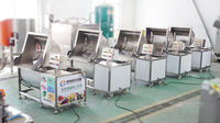 Automatische kantelbare ultrasone ozonwasmachine voor groenten, fruit en vlees (kool, sla etc.)