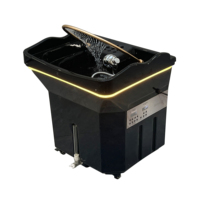 Tête d'équipement de spa Thérapie de spa Lavage des cheveux Pas de plomberie Lavabo à shampoing portable avec réservoir d'eau
