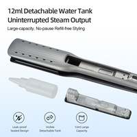 Lisseur à vapeur céramique premium PTC avec réservoir d'eau de 12 ml, arrêt automatique, double tension, outil de coiffage pour la maison et le salon