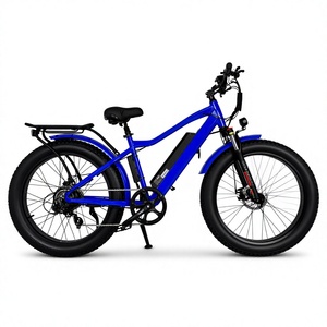 <span class=keywords><strong>Batterie</strong></span> Li-ion 48V 750W pour vélo électrique, 15Ah, pneu 26 pouces, frein à disque mécanique à 7 vitesses, écran LCD - Product Image 2