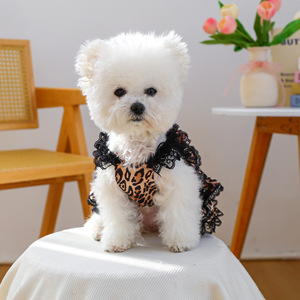 TUTU - Product Image 3
