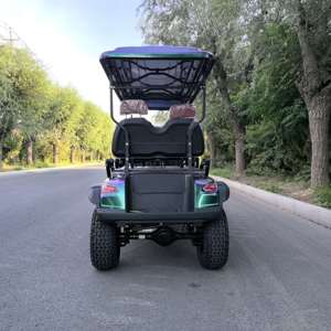 Nouveau Chariot de Golf Électrique 48V Homologué Route Zone, Buggy de Golf Tout-Terrain, Voiturette de <span class=keywords><strong>Club</strong></span> Électrique, Voiturette Mini 3 Roues 10 Pouces, <span class=keywords><strong>Prix</strong></span> CE - Product Image 6