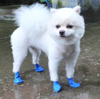 Chaussures pour chien Pet Paw Protect, chaussures ballon, chaussures de pluie jetables imperméables pour chien