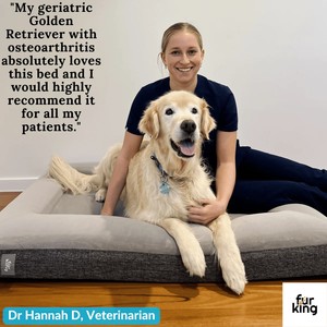 Ортопедическая кровать для собак с эффектом памяти - Product Image 5