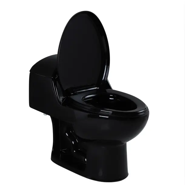 Medyag Black One Piece Toilet Siphon S Trap 300 mm South American Market Popular Economic WC Toilets