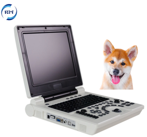 Pemindai Ultrasound hitam dan putih Laptop soket ganda LCD 12.1 "Portabel medis harga murah dengan <span class=keywords><strong>Probe</strong></span> Array cembung - Product Image 6