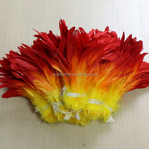 Plumas de Gallo Teñidas de Primera Calidad <span class=keywords><strong>para</strong></span> Disfraces de Carnaval y Manualidades |   Certificado Veterinario |   Venta al por Mayor - Product Image 5
