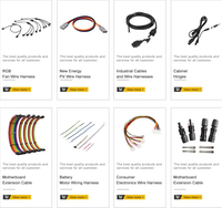 Arnés de Cables Automotrices Personalizado de Venta Caliente con Conductor de Cobre Estañado IP65 12V Hecho en Guangdong