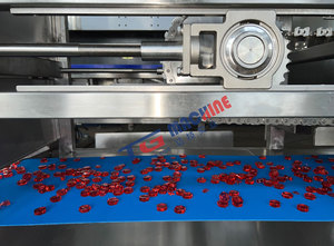 Instalación gratuita del ingeniero del fabricante con servicio local Nueva condición Automática Gummy PLC Componentes Máquina de dulces - Product Image 5