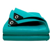 Bâche en tissu plastique HDPE PE épaisse et personnalisée, imperméable et résistante à la pluie, pour auvent de camping, agriculture et abri.
