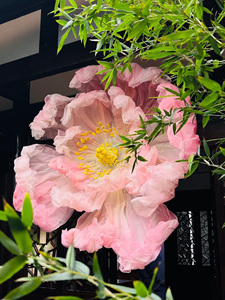 L-053 Fleurs artificielles géantes <span class=keywords><strong>en</strong></span> <span class=keywords><strong>organza</strong></span> de style chinois classique, pivoines suspendues pour décorations de toile de fond de mariage et d'événements - Product Image 5
