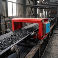 Détecteurs de métaux industriels à courants de Foucault pour rouleries, mines de fer et convoyeurs à bande - Protection contre les températures de -40 à 45°C
